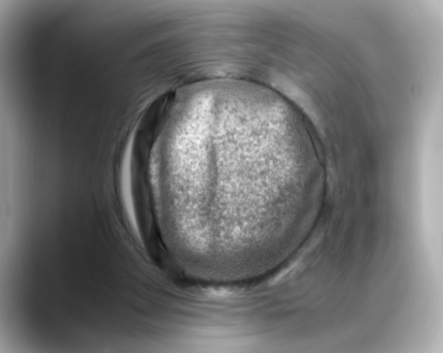 X0000088440105200706051255