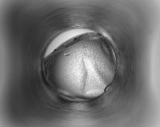 X0000088440106200706051255