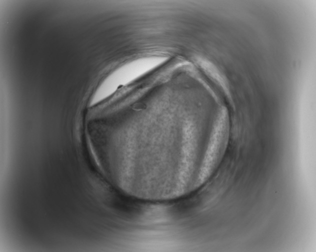 X0000088440107200706051255