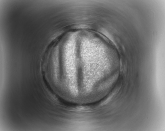 X0000088440109200706051255