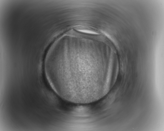X0000088440111200706051255