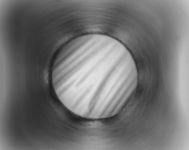 X0000088440112200706051255