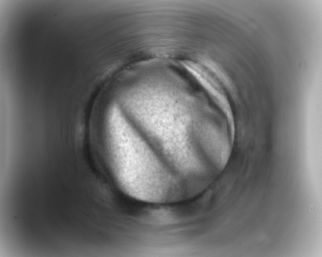 X0000088440113200706051255