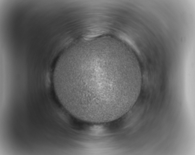 X0000088440114200706051255