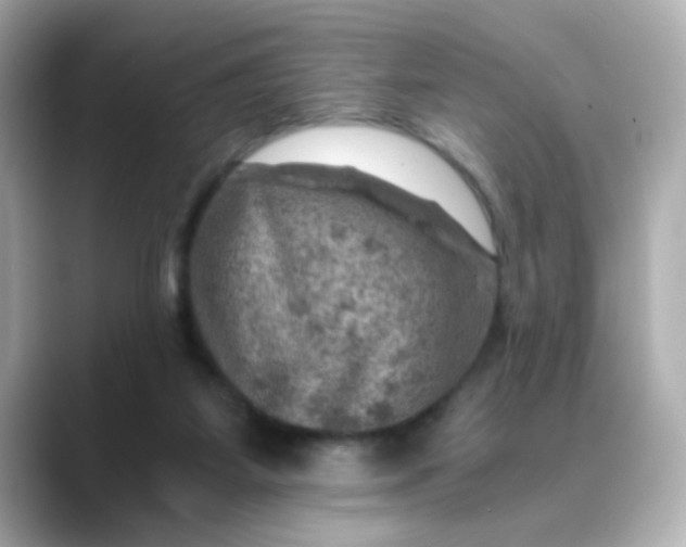 X0000088440115200706051255