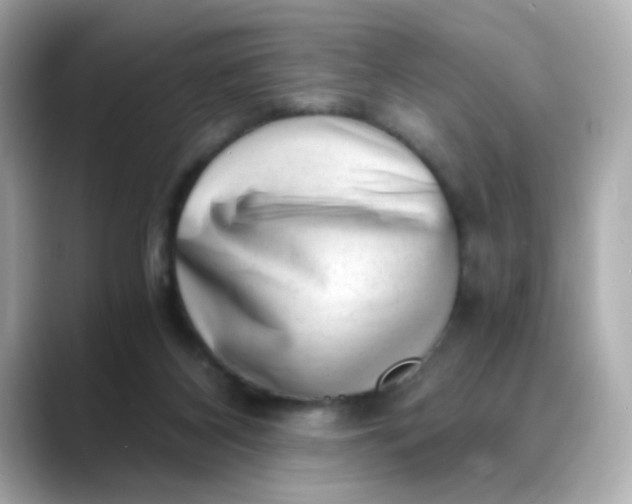 X0000088440116200706051255