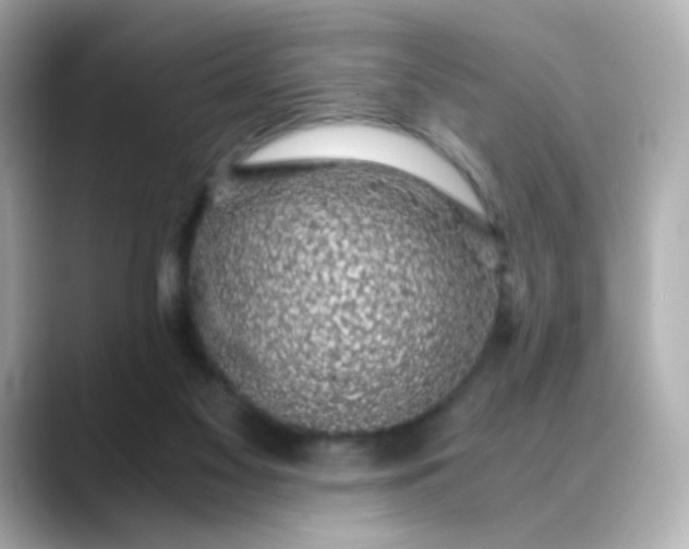 X0000088440117200706051255