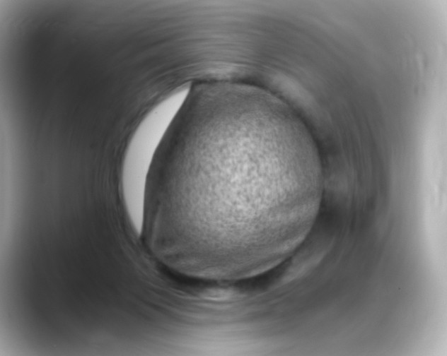 X0000088440119200706051255