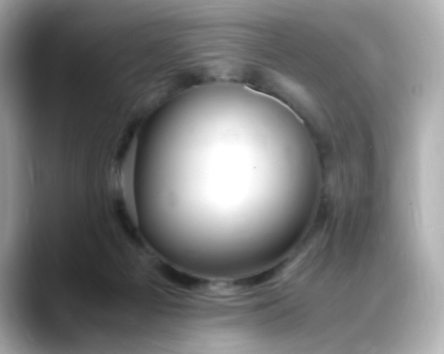 X0000088440121200706051255