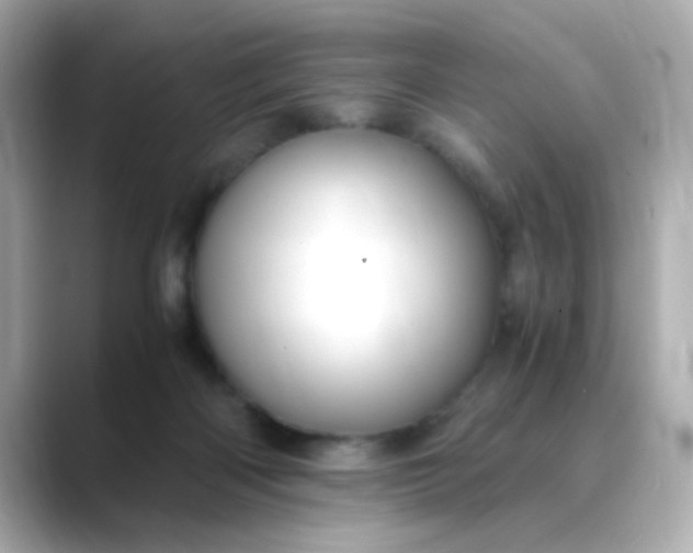 X0000088440122200706051255