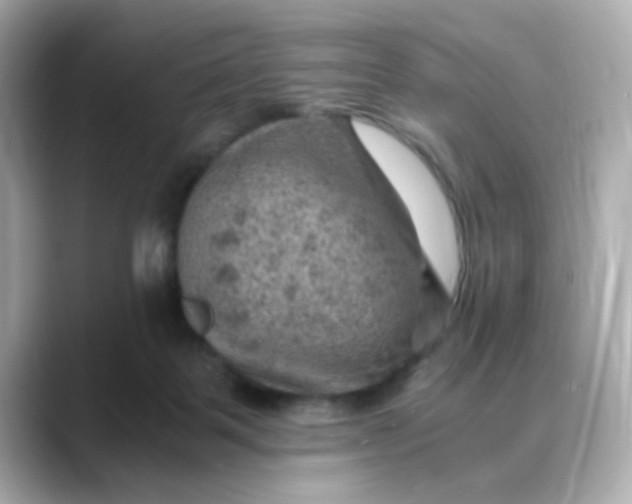 X0000088440123200706051255