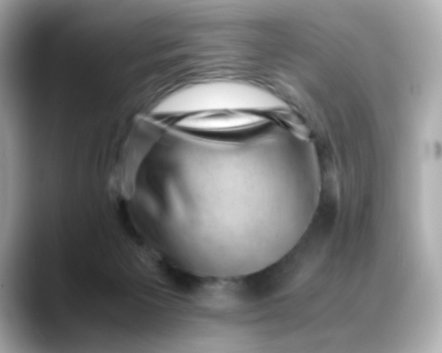 X0000088440125200706051255