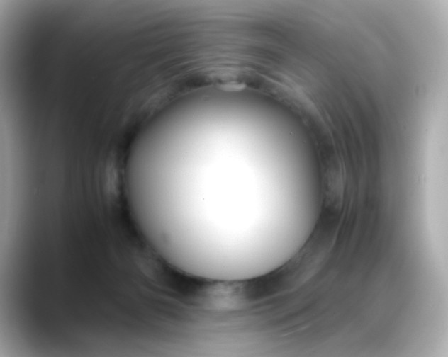 X0000088440126200706051255