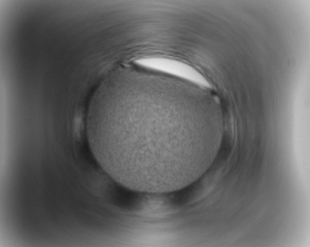 X0000088440127200706051255