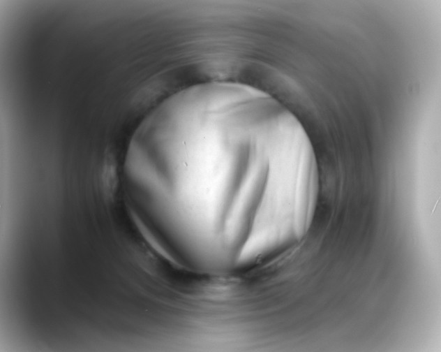 X0000088440128200706051255