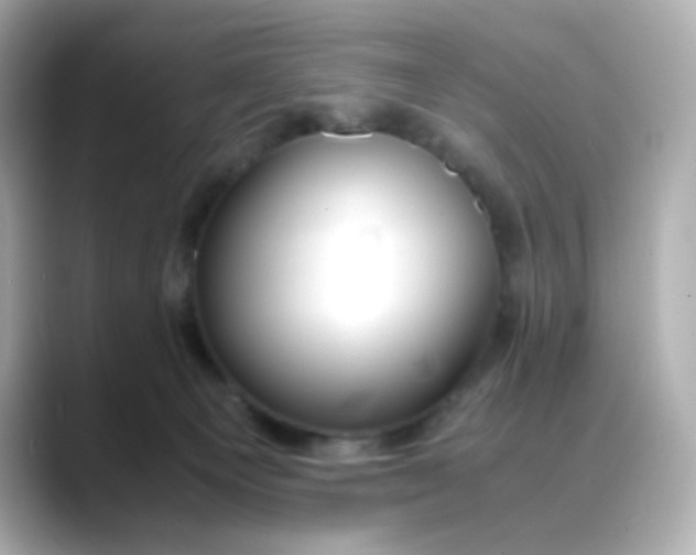 X0000088440129200706051255