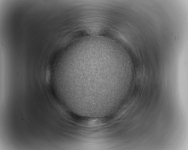 X0000088440130200706051255