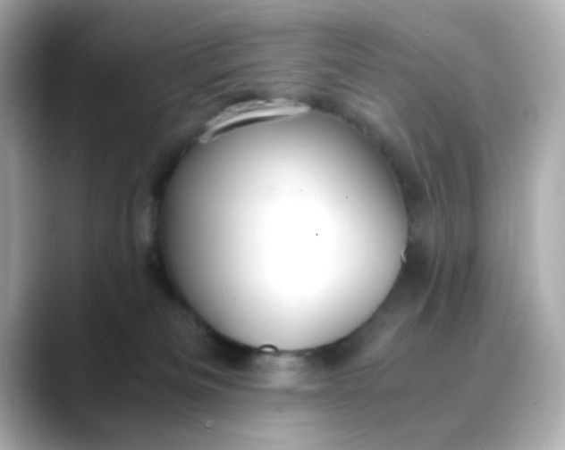X0000088440133200706051255