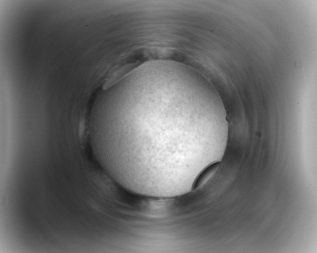 X0000088440134200706051255