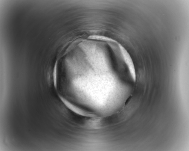 X0000088440138200706051255