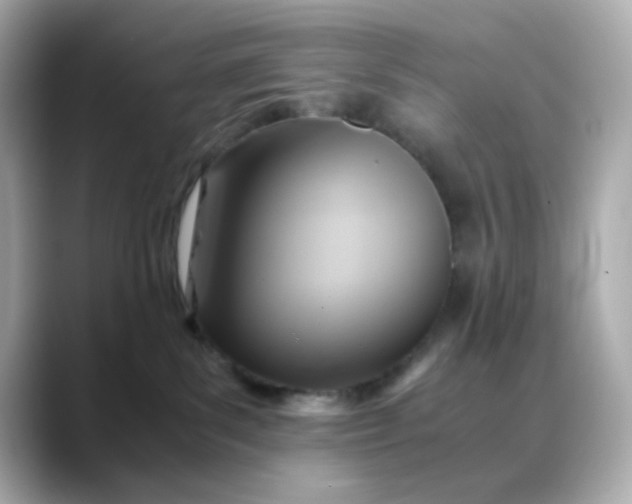 X0000088440139200706051255