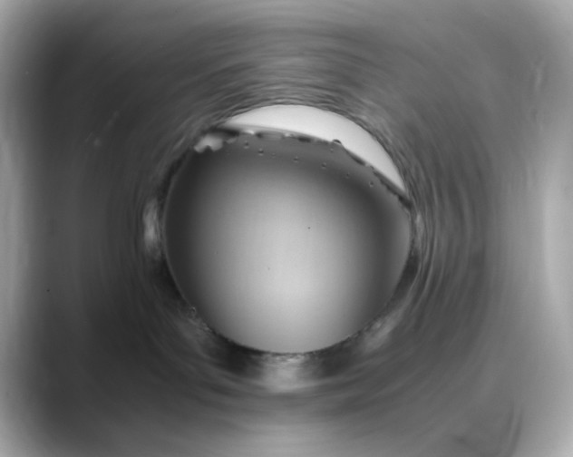 X0000088440143200706051255