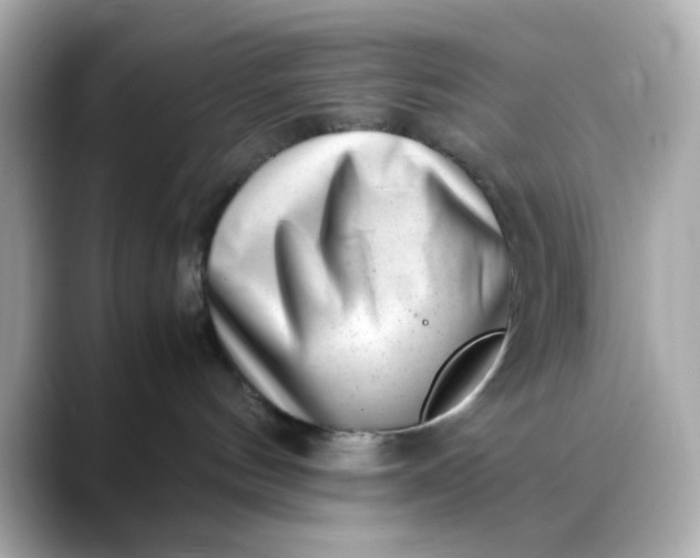 X0000088440144200706051255
