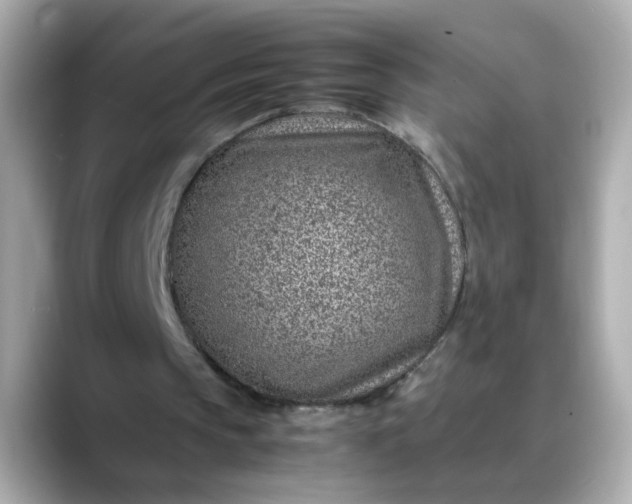 X0000088440145200706051254