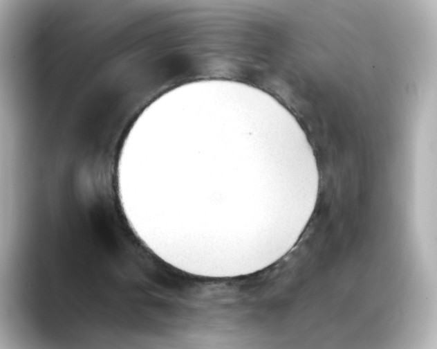 X0000088440146200706051254