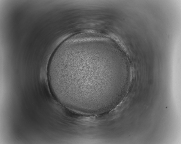X0000088440147200706051254