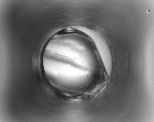 X0000088440148200706051254