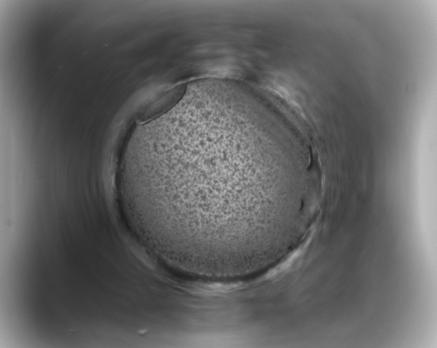 X0000088440149200706051254