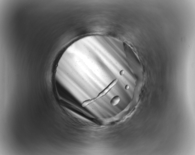 X0000088440150200706051254
