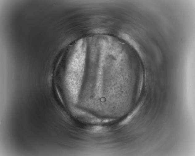 X0000088440153200706051254