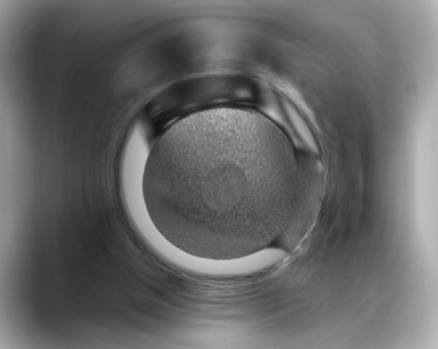 X0000088440154200706051254