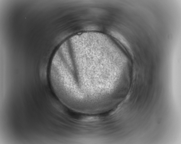 X0000088440155200706051254