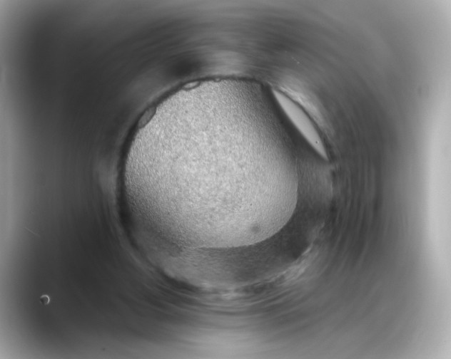 X0000088440156200706051254