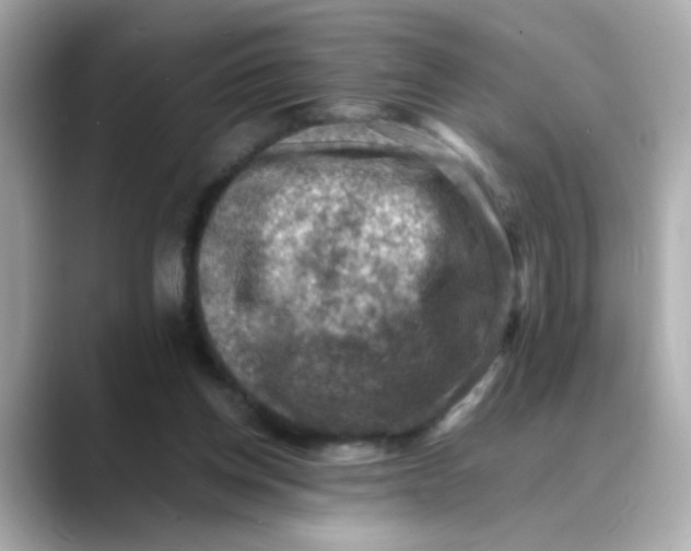 X0000088440158200706051254