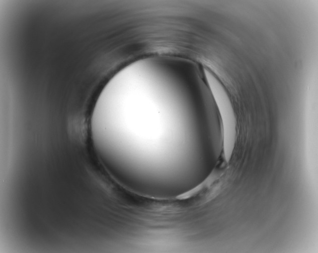 X0000088440160200706051254