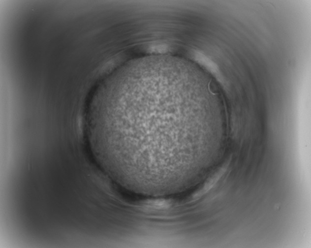 X0000088440161200706051254