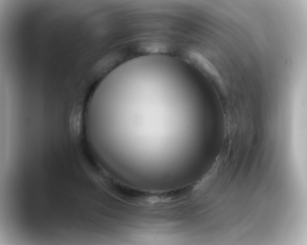 X0000088440163200706051254