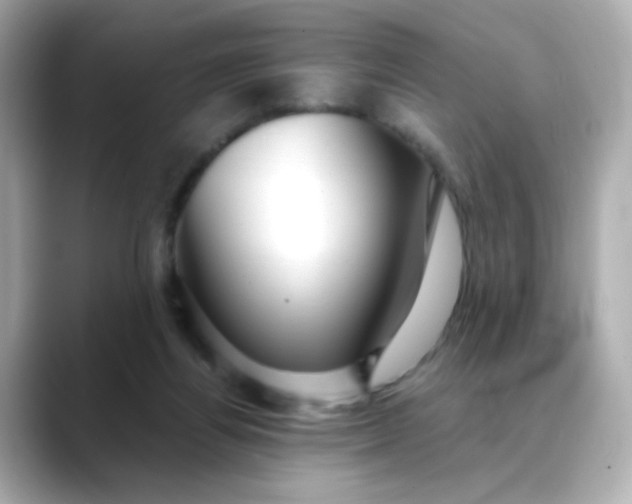 X0000088440164200706051254