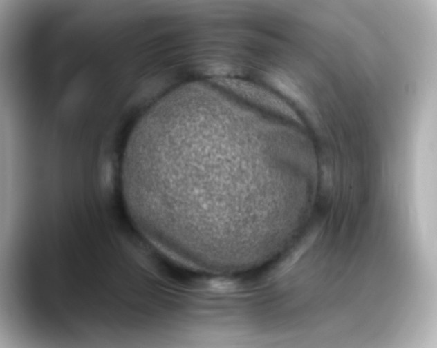 X0000088440165200706051254