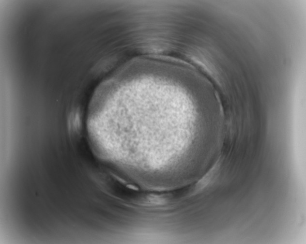 X0000088440166200706051254