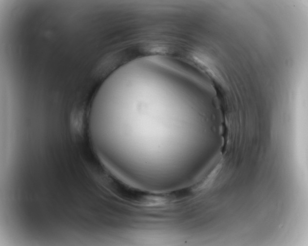 X0000088440167200706051254