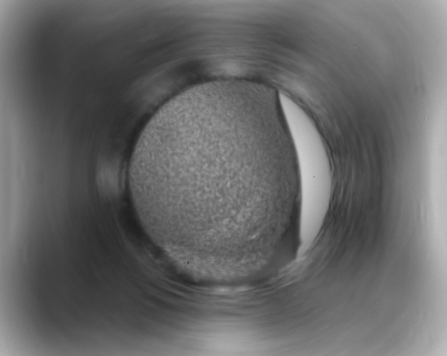 X0000088440168200706051254