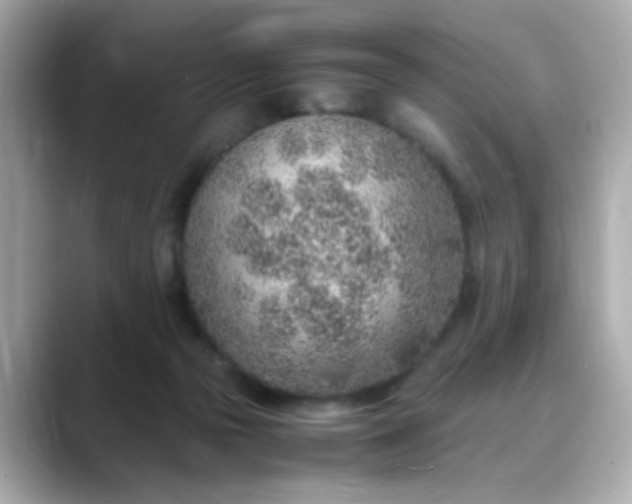 X0000088440169200706051254