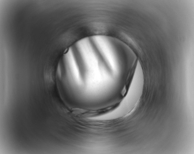 X0000088440170200706051254
