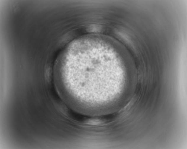 X0000088440171200706051254