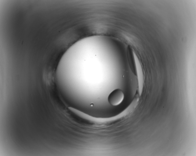 X0000088440172200706051254